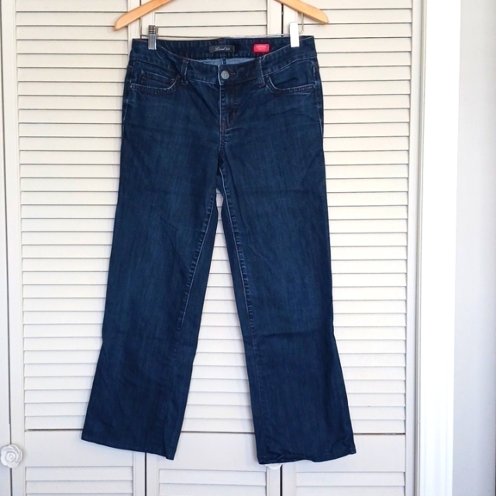 Anthropologie Level 99 Cropped Wide-Leg, Dark Wash Jeans, Size 28